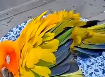 V0202003 De un momento dificil a un lugar seguro (Parte 2)