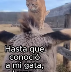 O1002011 Ella merecía más (Parte 2)