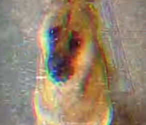 V0202008 Un acto humano salvo una vida (Parte 2)