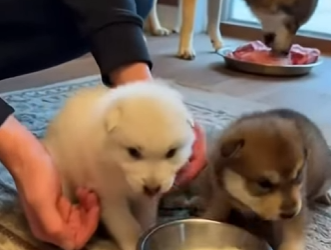 P1102010 A future protected by action (Part 2)