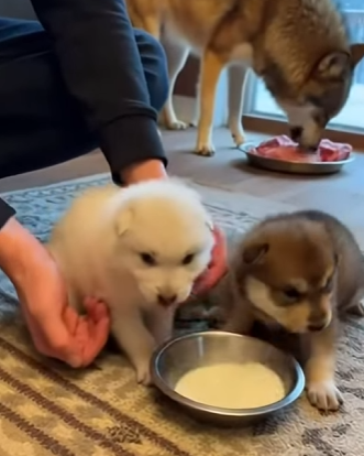 P1102010 A future protected by action (Part 2)