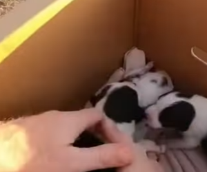 P1102011 Love showed up and stayed (Part 2)