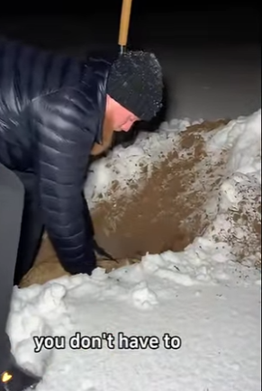 P1102002 adopted two coyotes whose mothers had passed away, then (Part 2)