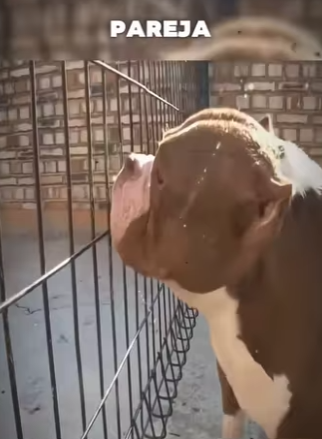 V0202013 El rescate trajo esperanza (Parte 2)