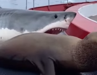 P1102008 Kindness refused to walk away (Part 2)