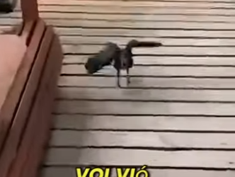 V0202004 La ayuda llego con valentia (Parte 2)