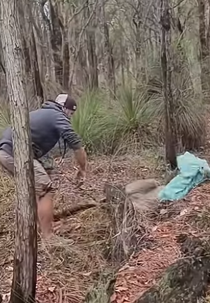 I0602010 one brave rescue (Part 2)