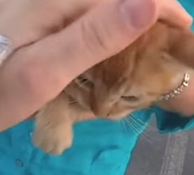 I0802003 Not everyone would have stopped (Part 2)