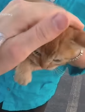 I0802003 Not everyone would have stopped (Part 2)