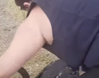 I0802006 Beautiful reunion (Part 2)