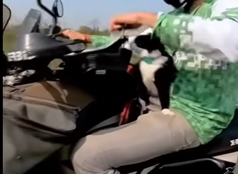 I0602012 Saving life, gaining friend (Part 2)