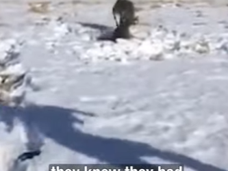 I0602011 skill (Part 2)