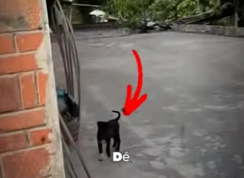 La vida encontro ayuda a tiempo (Parte 2)