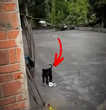 La vida encontro ayuda a tiempo (Parte 2)