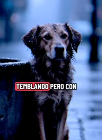 V1002008 Gracias por elegirme viejo (Parte 2)