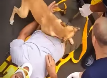 V0202012 Una vida mas bajo proteccion (Parte 2)