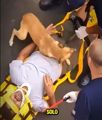 V0202012 Una vida mas bajo proteccion (Parte 2)