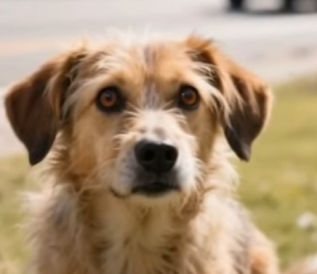 V1002015 El policía nunca la dejo sola (Parte 2)