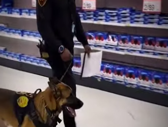 V0202011 El cuidado fue la respuesta (Parte 2)