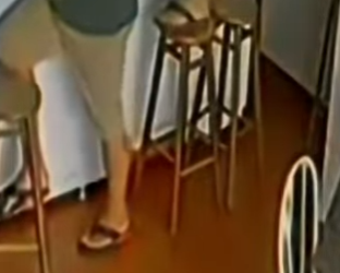 V1002018 Todos huyeron del Pitbull solo quería jugar (Parte 2)