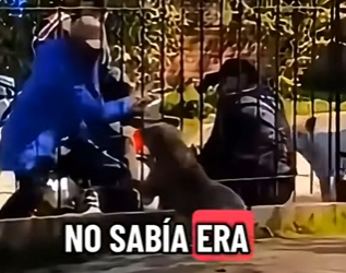 V1002010 El karma tocó su puerta (Parte 2)