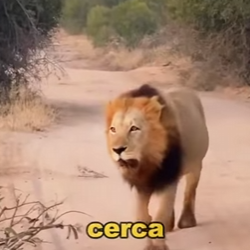 L0902011 child was bullied, family took revenge (Parte 2)