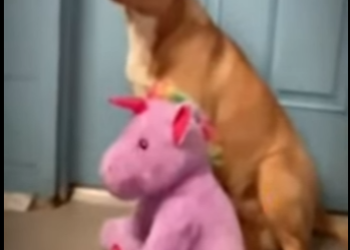 V0202001 Este rescate cambio su destino (Parte 2)