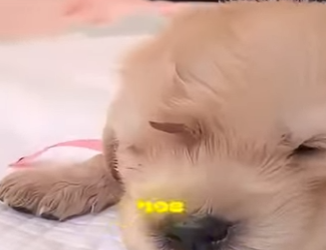 V0202007 Donde habia riesgo ahora hay calma (Parte 2)