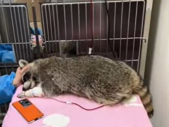 A0202002 De la angustia al alivio seguro (Parte 2)