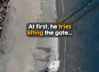 I0802009 Kindhearted biker stopped (Part 2)