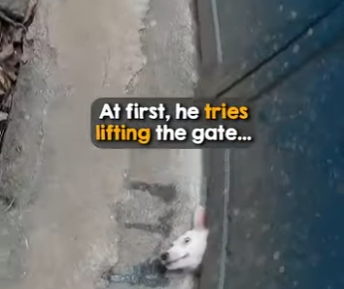 I0802009 Kindhearted biker stopped (Part 2)