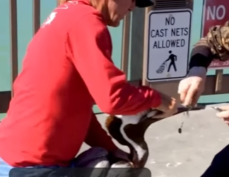 I0802010 Great job (Part 2)