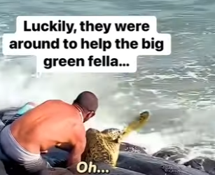 I0802012 We need more people like this! (Part 2)