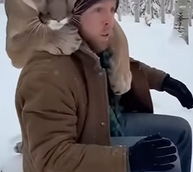 F0802008 eagle stole cougar cub (Part 2)