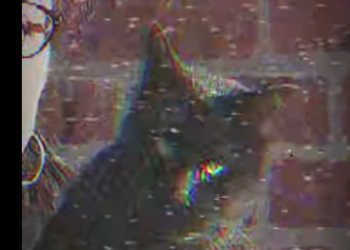 V0202005 Hoy alguien recibio cuidado (Parte 2)