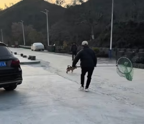 R1002007 found stray dog an injured leg. It was so pitiful (Part 2)