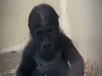 V0202002 La compasion se hizo accion (Parte 2)