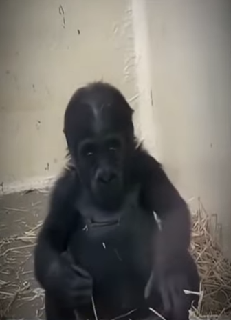 V0202002 La compasion se hizo accion (Parte 2)