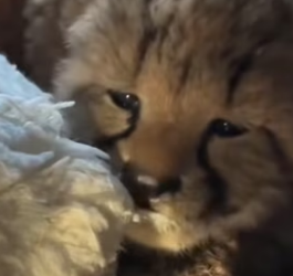 R1002013 Help came quietly but powerfully (Part 2)