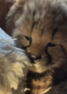 R1002013 Help came quietly but powerfully (Part 2)