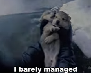 P1302014 How is possible (Part 2)