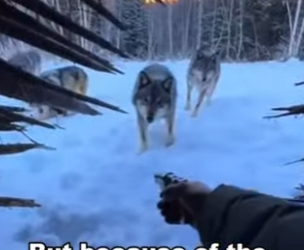 P1302015 What an ending (Part 2)