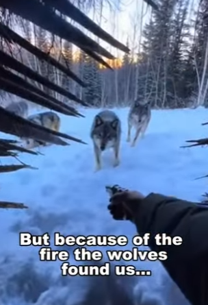 P1302015 What an ending (Part 2)