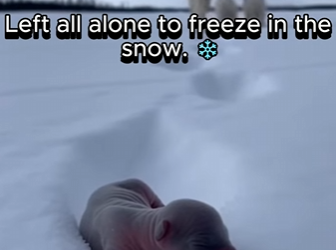 P1302010 This life was seen and protected (Part 2)