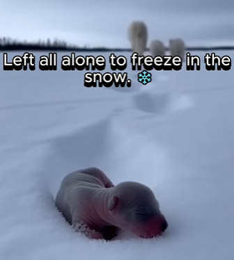 P1302010 This life was seen and protected (Part 2)