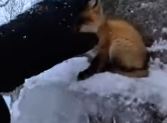 P1302013 Why did she do (Part 2)