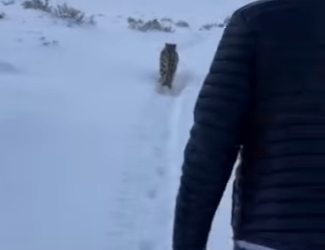 F3101005 From distress to gentle relief (Part 2)