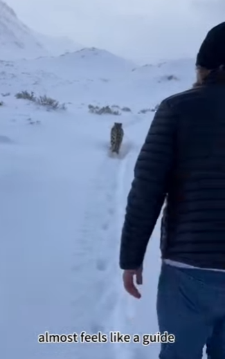 F3101005 From distress to gentle relief (Part 2)