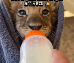 P1302011 This life was seen and protected (Part 2)