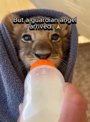 P1302011 This life was seen and protected (Part 2)